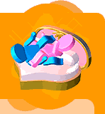 第22式 對頭式.gif