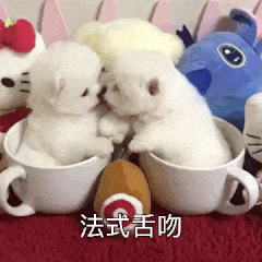 9150e4e5gy1g5pl9lpzj4g206o06owu0.gif